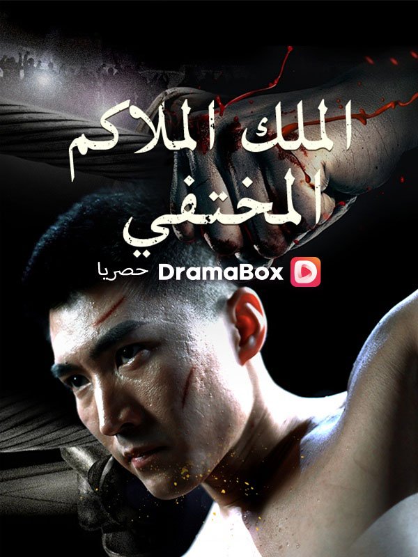 الملك الملاكم المختفي (مدبلج) poster